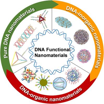 DNA Functional Nanomaterials for Controlled Delivery of Nucleic Acid-Based Drugs